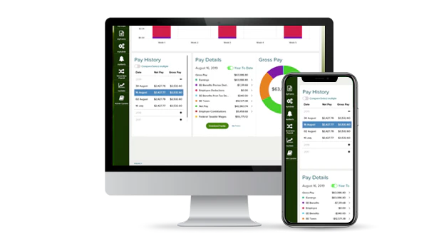 screenshot of ADP GlobalView Payroll